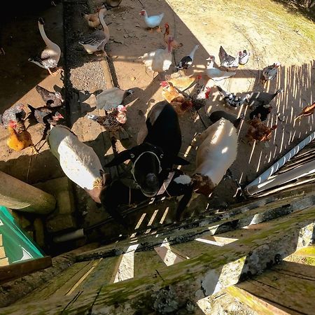 Saira Recanto De Serra Mulungu  Bagian luar foto