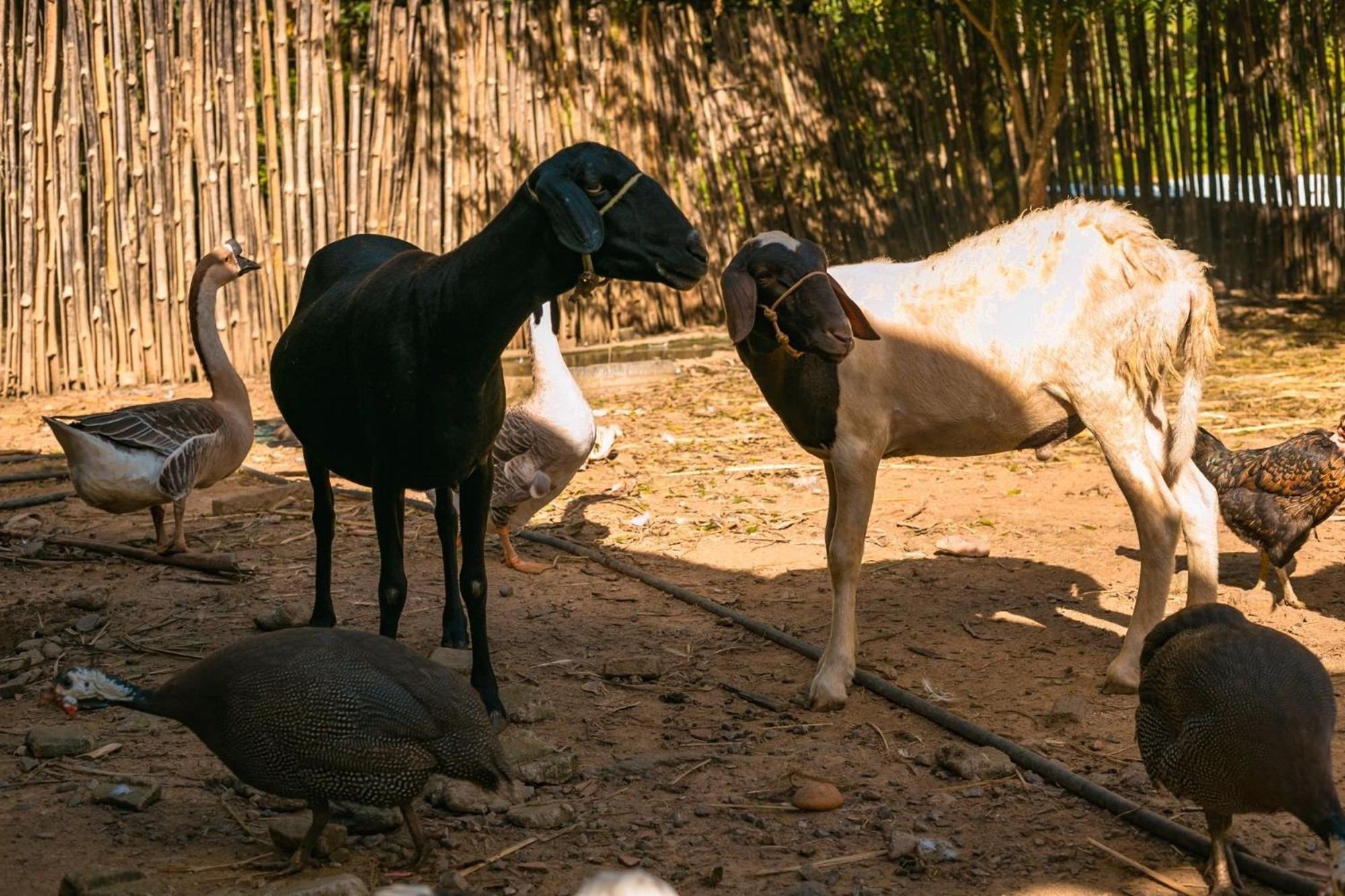 Saira Recanto De Serra Mulungu  Bagian luar foto